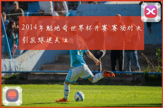 2014年魁地奇世界杯开赛 赛场对决引发球迷关注