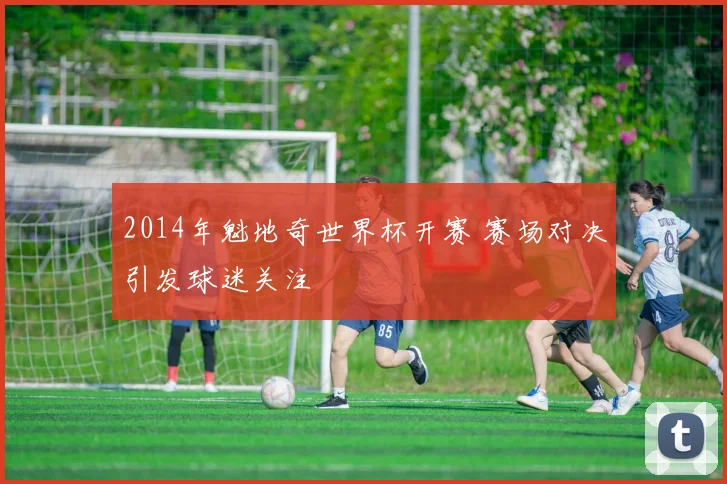 2014年魁地奇世界杯开赛 赛场对决引发球迷关注